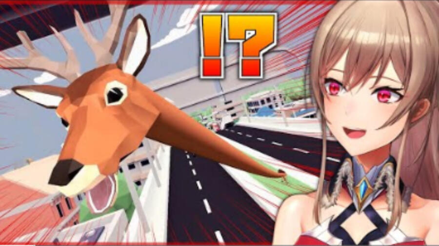 DEEEER Simulator